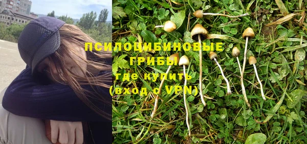 альфа пвп Карпинск